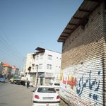 داروخانه دامپزشکی