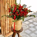 گلفروشی فوشیا