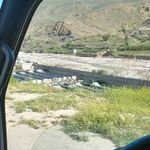 پرورش ماهی هامون