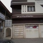 فاطمه امیر علیان