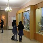 موزه حیات وحش و آثار طبیعی هفت چنار