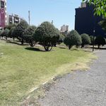 بوستان ستایش