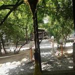 باغچه رستوران سنتی فرشته