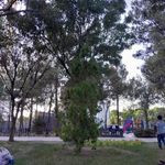 بوستان امام رضا