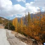 روستای چشمه چنار