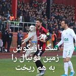 کلینیک دامپزشکی و پت شاپ آراز