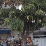 سوپرمارکت ستاره