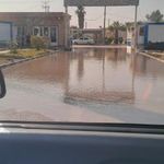 دانشگاه علوم پزشکی آبادان