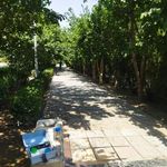 بوستان شیخ محمدی