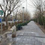 بوستان شیخ محمدی
