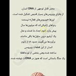 مرکز مشاوره فضیلت