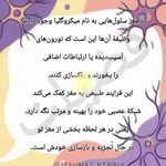 مرکز مشاوره فضیلت