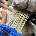 سالن زیبایی الهه ی قاسمی