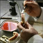 دندانسازی..پروتزیست اسماعیل فرجامی