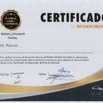 دیتیلینگ علی پروین