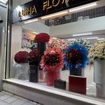 گلفروشی لونا