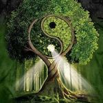 مشاور و مدرس معماری داخلی فنگ شویی