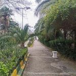 متل گل سرخ