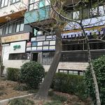 دکتر اشکان افشار