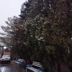 خوابگاه دختران دانشگاه بیرجند