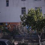 دبستان و پیش دبستان فرهیختگان پویا