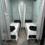 طب سنتی الف