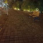 باغ گلها