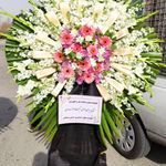 گل فروشی دنیز (آنلاین) -ارسال فوری