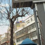 آرایشگاه علی
