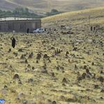 قبرستان تاریخی پینه شلوار