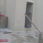 مصطفی افشاری