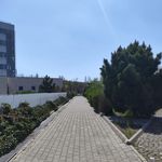 ایرنا