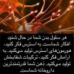 روانکاو  و زوج درمانگر دکتر محیااصغری