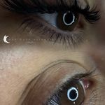خدمات مژه ماهی مون