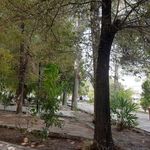 پارک کتاب