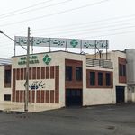 بیمه دانا