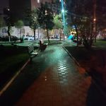 بوستان پدر