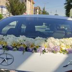 گلفروشی سی تو (ارسال رایگان)