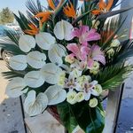 گل فروشی دنیز آنلاین (شعبه 2)