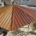 عزت وطن خواه