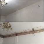 محمد شعبانزاده ابجهان