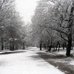 پارک جنگلی دلند