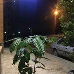 کافه سیزده
