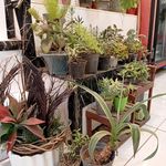 گلسرای صاحب الزمان