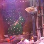 مرکز یوگا یومی UMe