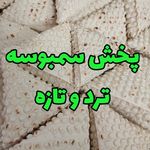 پخش سمبوسه ترد و تازه