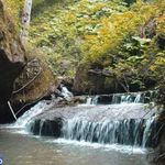 روستای سوسرا