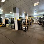 باشگاه ورزشی شقایق