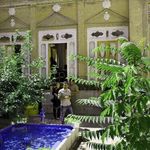 خانه علی مسیو