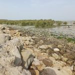 بوستان هلر